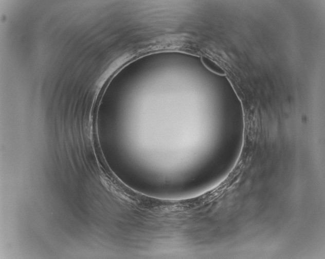 X0000073900100200608111140