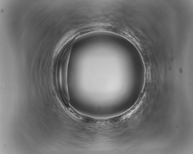 X0000073900101200608111140