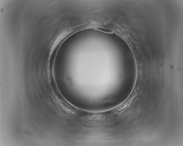 X0000073900102200608111140