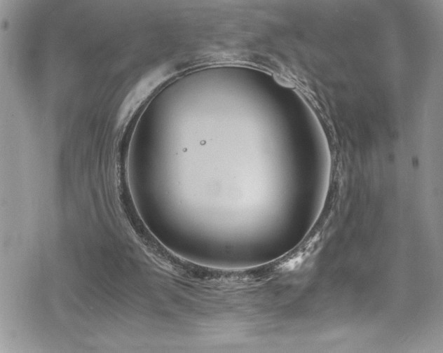 X0000073900103200608111140