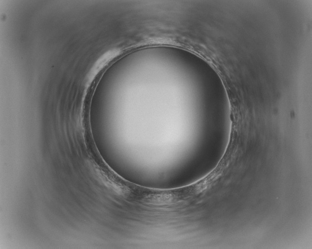 X0000073900104200608111140