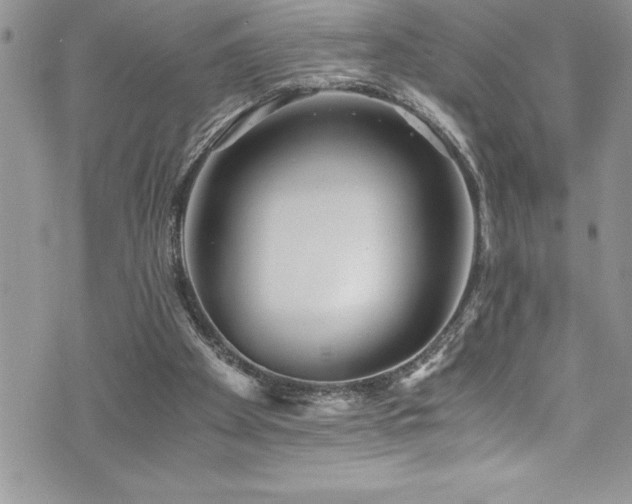 X0000073900105200608111140