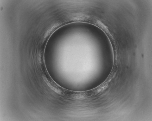 X0000073900106200608111140