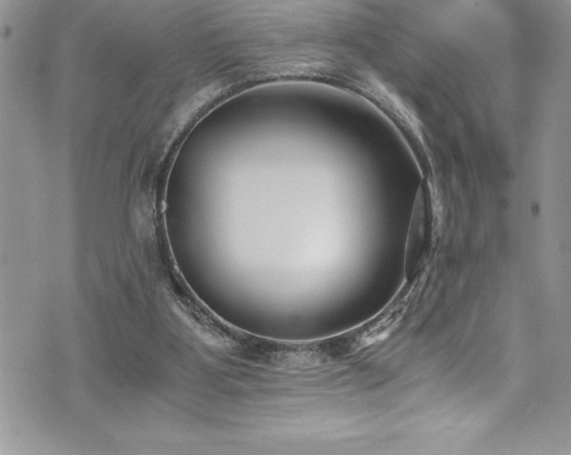 X0000073900107200608111140