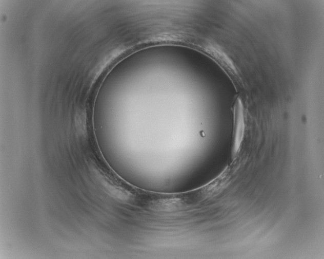 X0000073900108200608111140