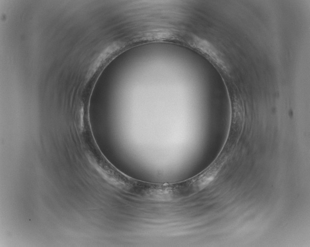 X0000073900110200608111140