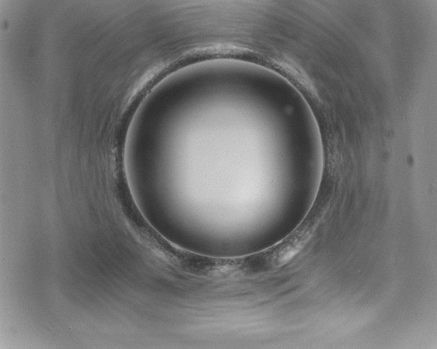 X0000073900111200608111140