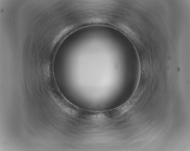 X0000073900112200608111140