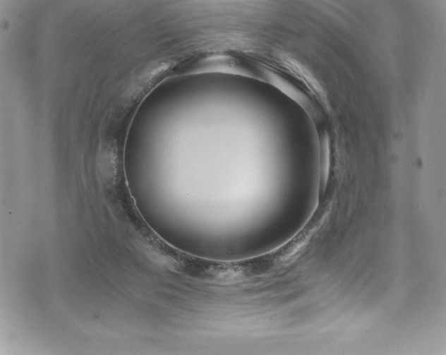 X0000073900113200608111140