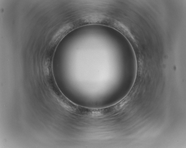 X0000073900114200608111140