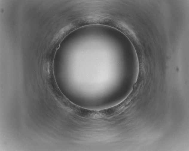 X0000073900115200608111140