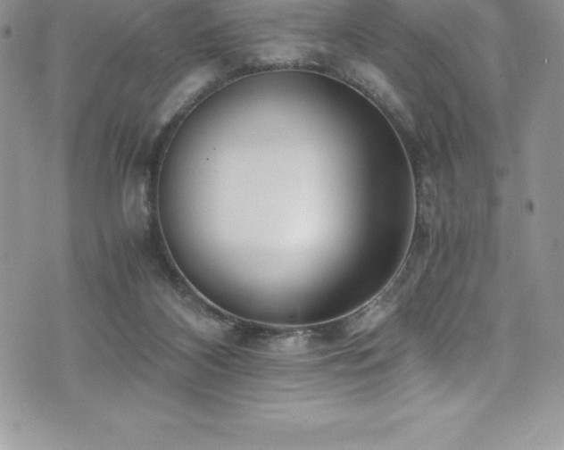 X0000073900116200608111140