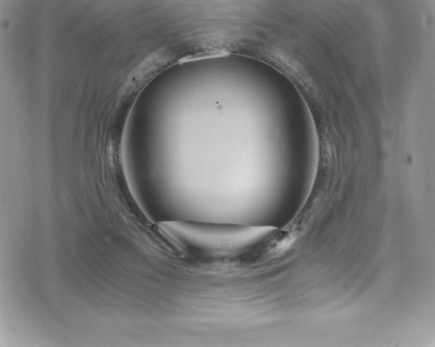 X0000073900117200608111140