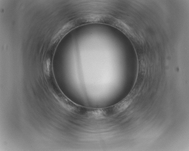 X0000073900118200608111140