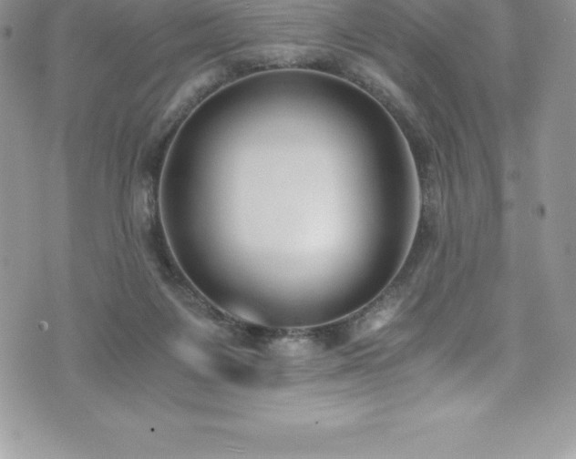 X0000073900119200608111140