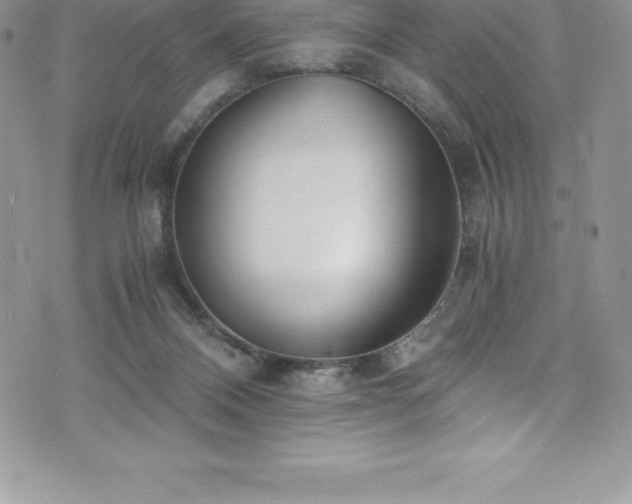 X0000073900120200608111140