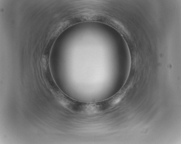 X0000073900121200608111140