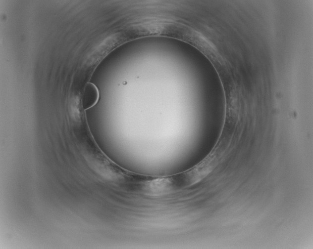 X0000073900122200608111140