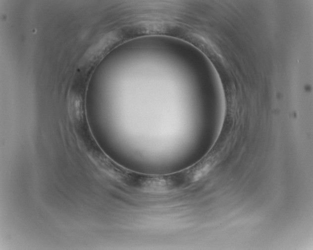 X0000073900123200608111140