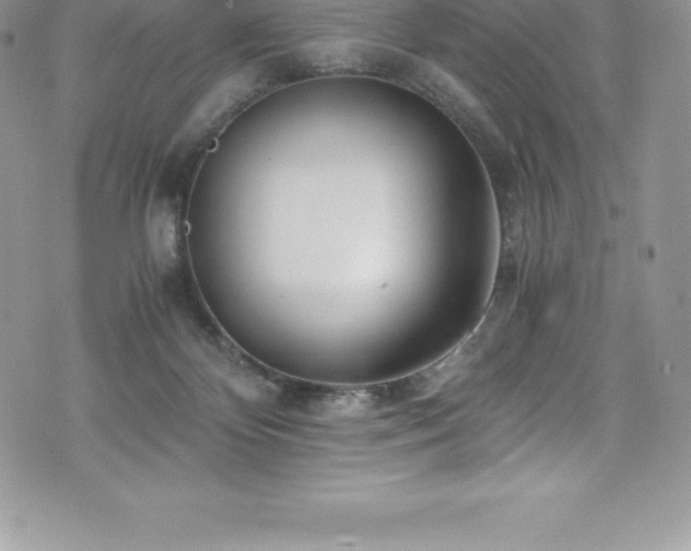 X0000073900124200608111140