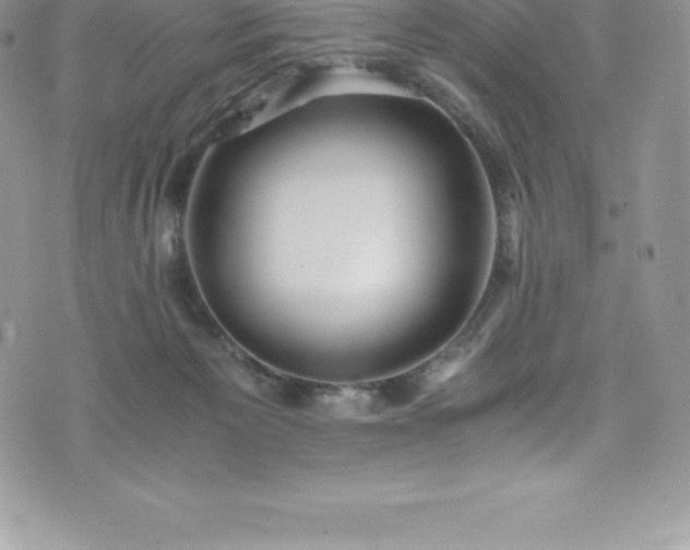 X0000073900125200608111140