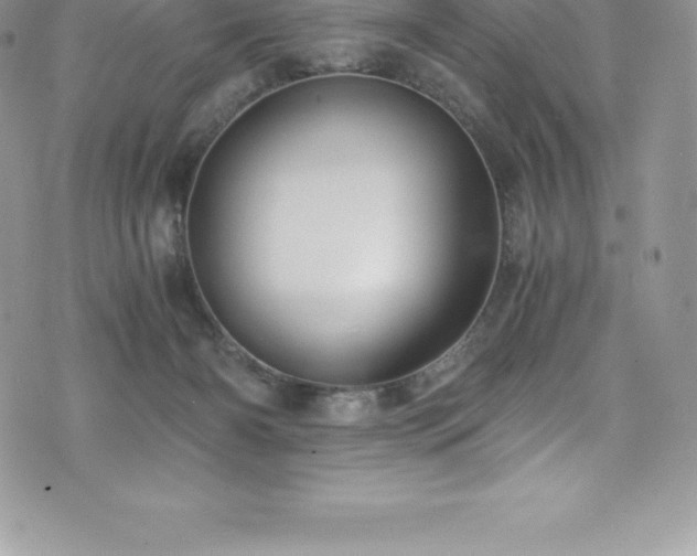 X0000073900126200608111140