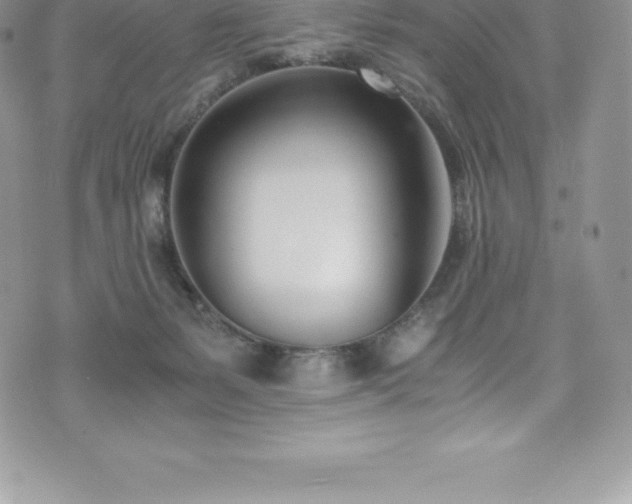 X0000073900127200608111140