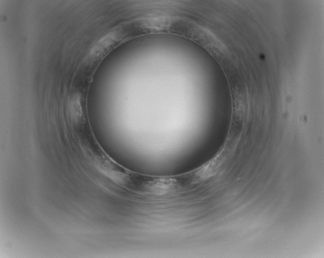 X0000073900128200608111140