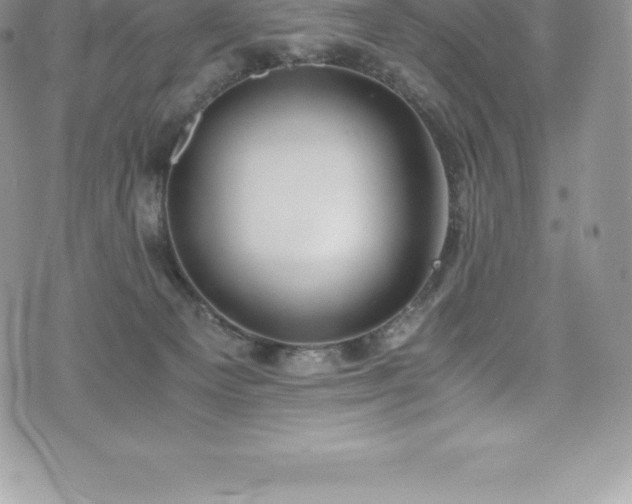 X0000073900129200608111140