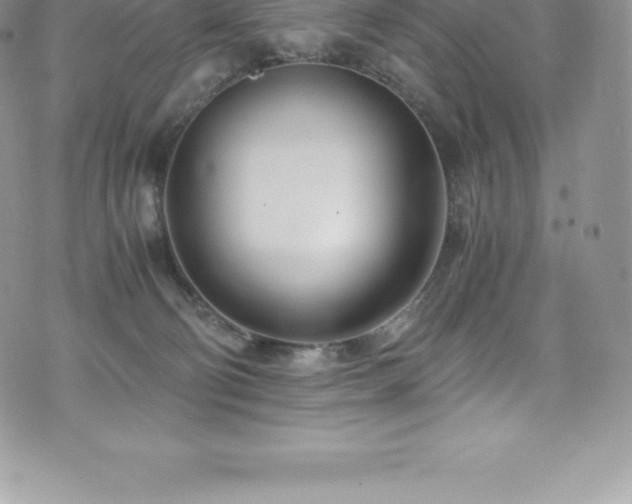 X0000073900130200608111140