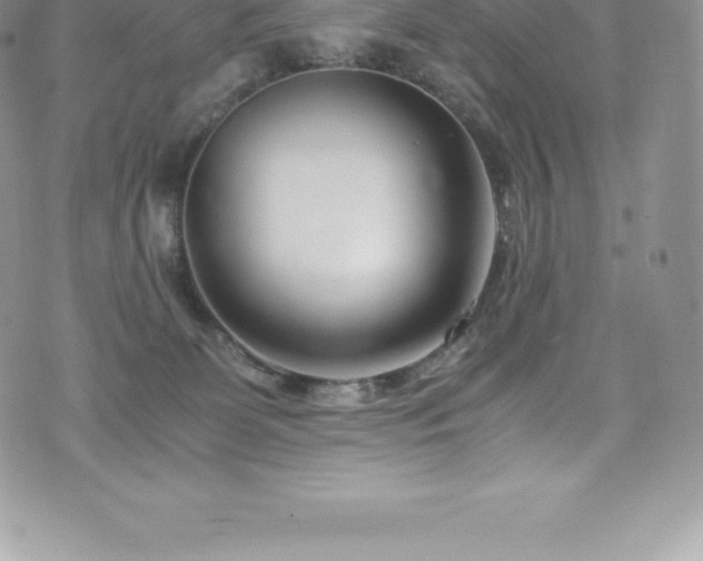 X0000073900131200608111140