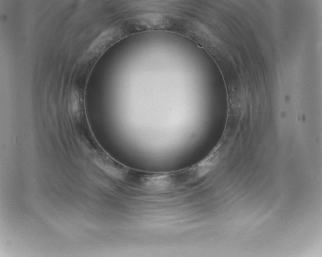 X0000073900132200608111140