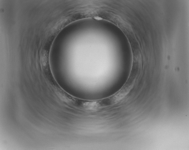 X0000073900133200608111140