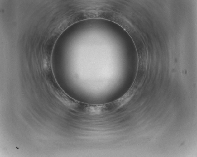 X0000073900134200608111139