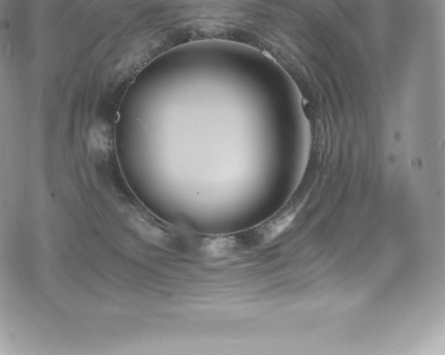 X0000073900135200608111139