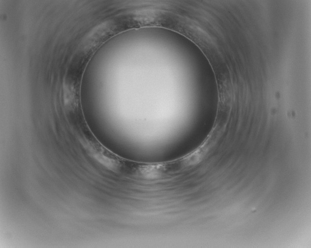 X0000073900136200608111139