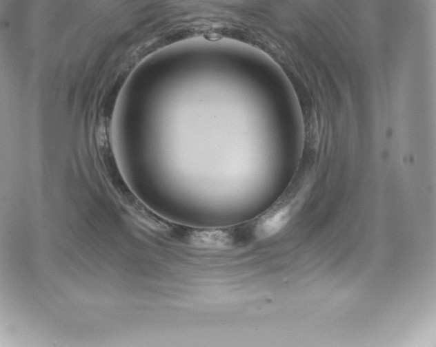 X0000073900137200608111139