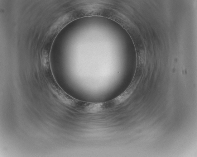 X0000073900138200608111139