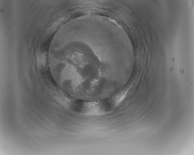 X0000073900139200608111139