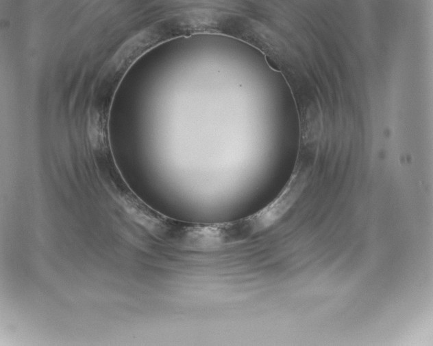 X0000073900140200608111139