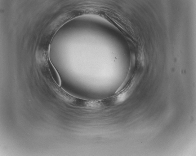 X0000073900141200608111139