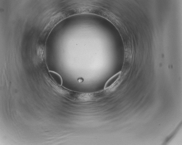 X0000073900142200608111139