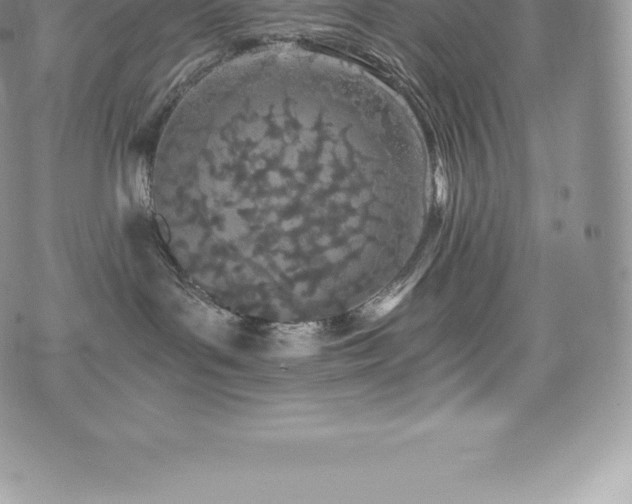 X0000073900143200608111139