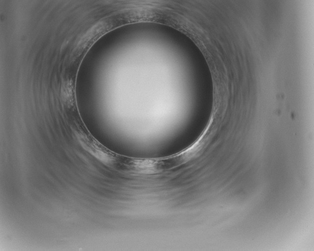 X0000073900144200608111139