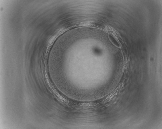 X0000073900145200608111139