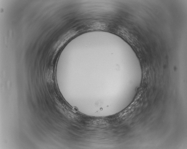 X0000073900146200608111139