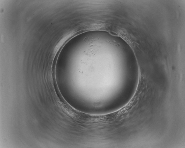 X0000073900147200608111139