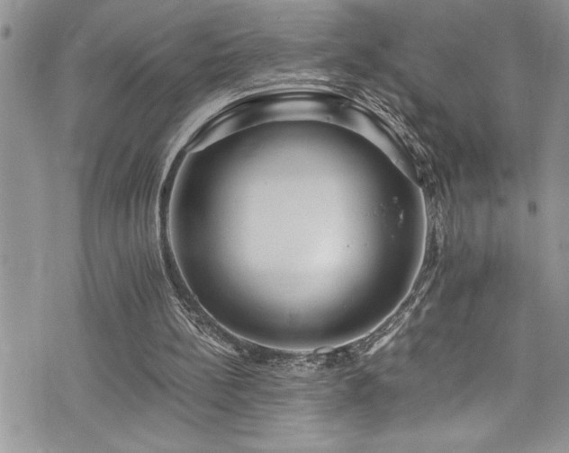 X0000073900148200608111139