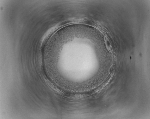 X0000073900149200608111139