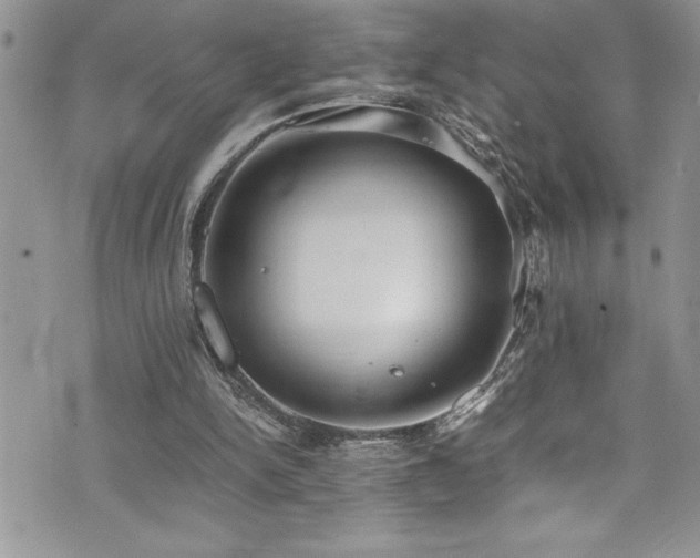 X0000073900150200608111139